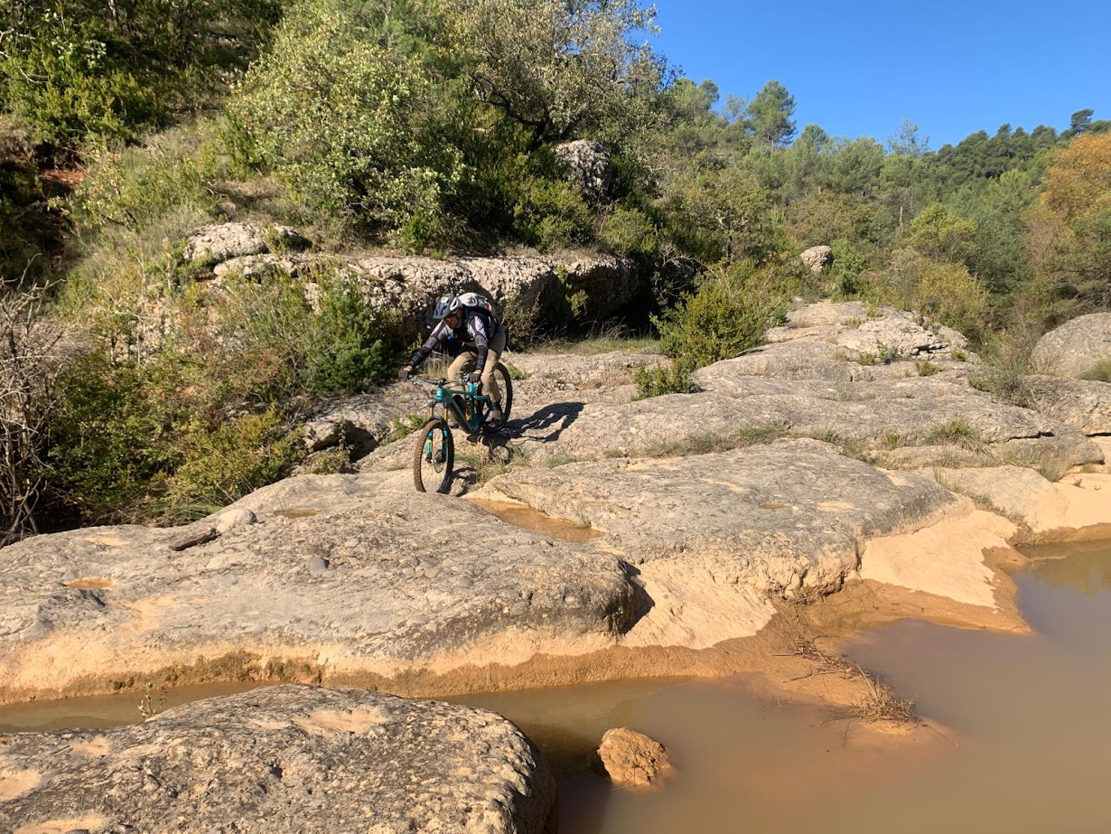 IMG-20241011-WA0018(1)