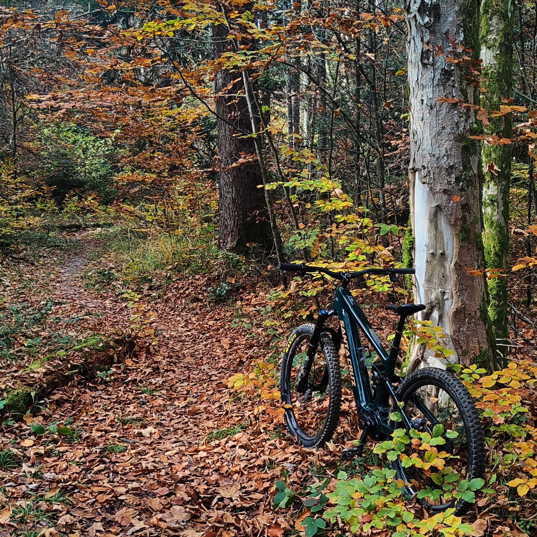 blackbuckcycles julien carretta blackbuckcycles julien carretta